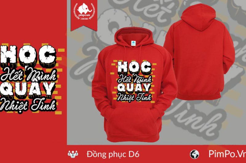 Áo nỉ hoodie đồng phục lớp D6